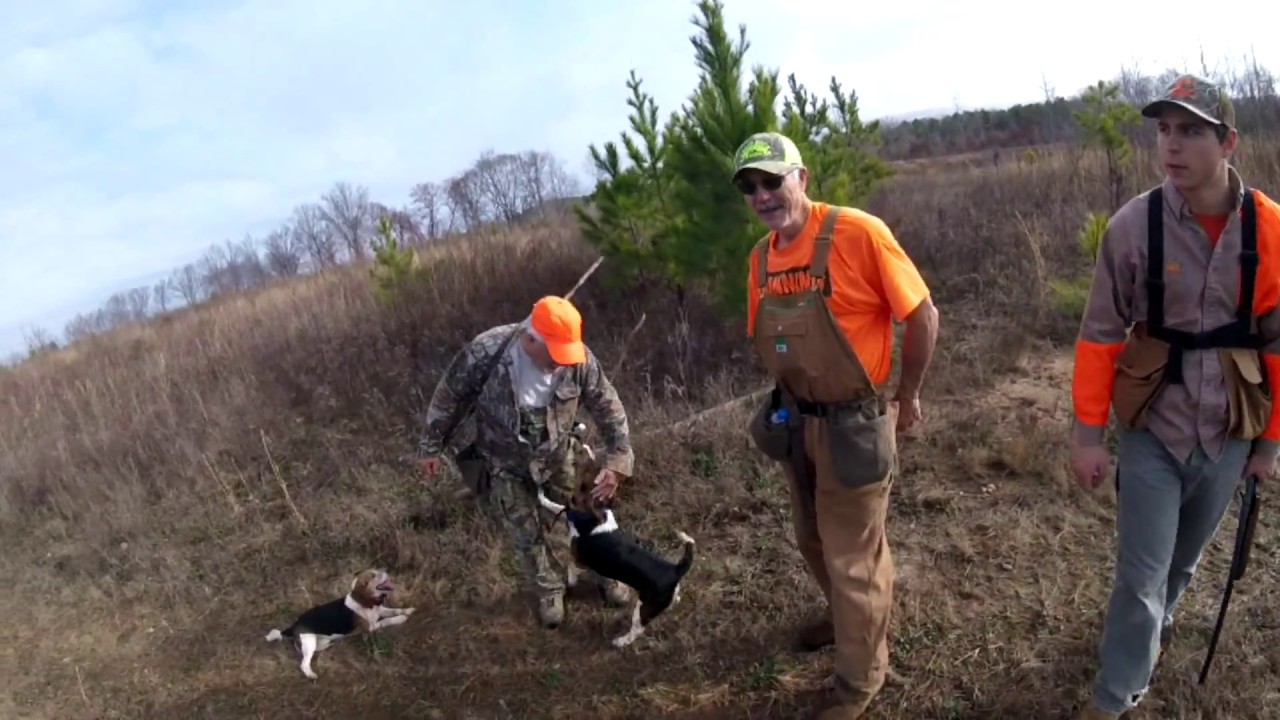 Rabbit hunting 2018 highlights