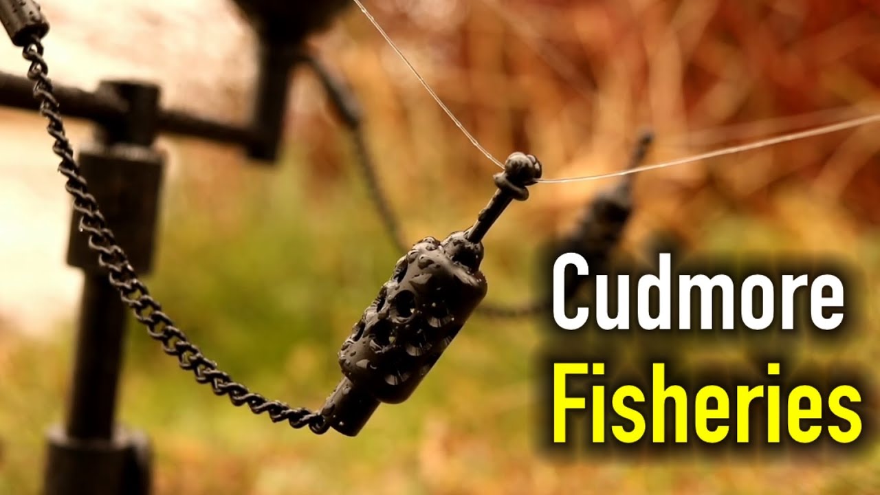 Carp Fishing - Cudmore Fisheries, George's Lake