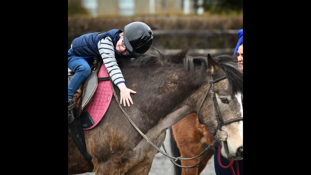 We are CRINDLE STABLES
