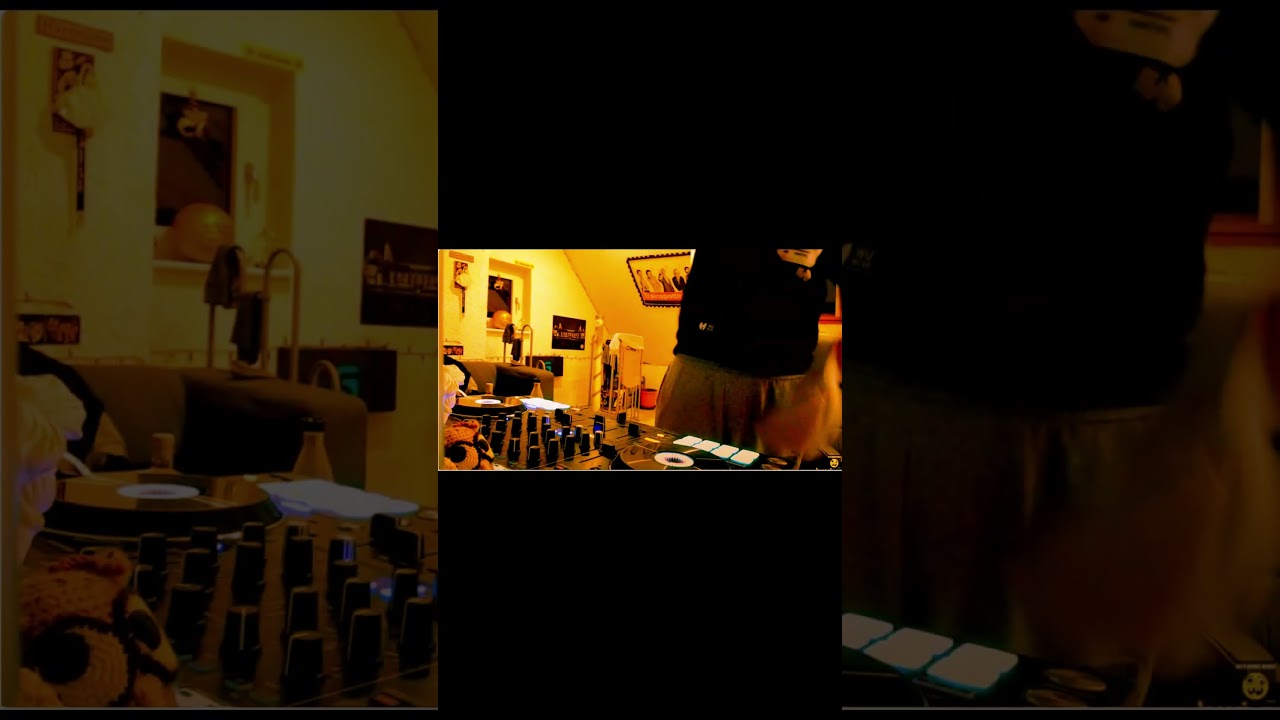 THE SANDWICH ***ZAPPENDUSTER RECORDS*** #techno #house