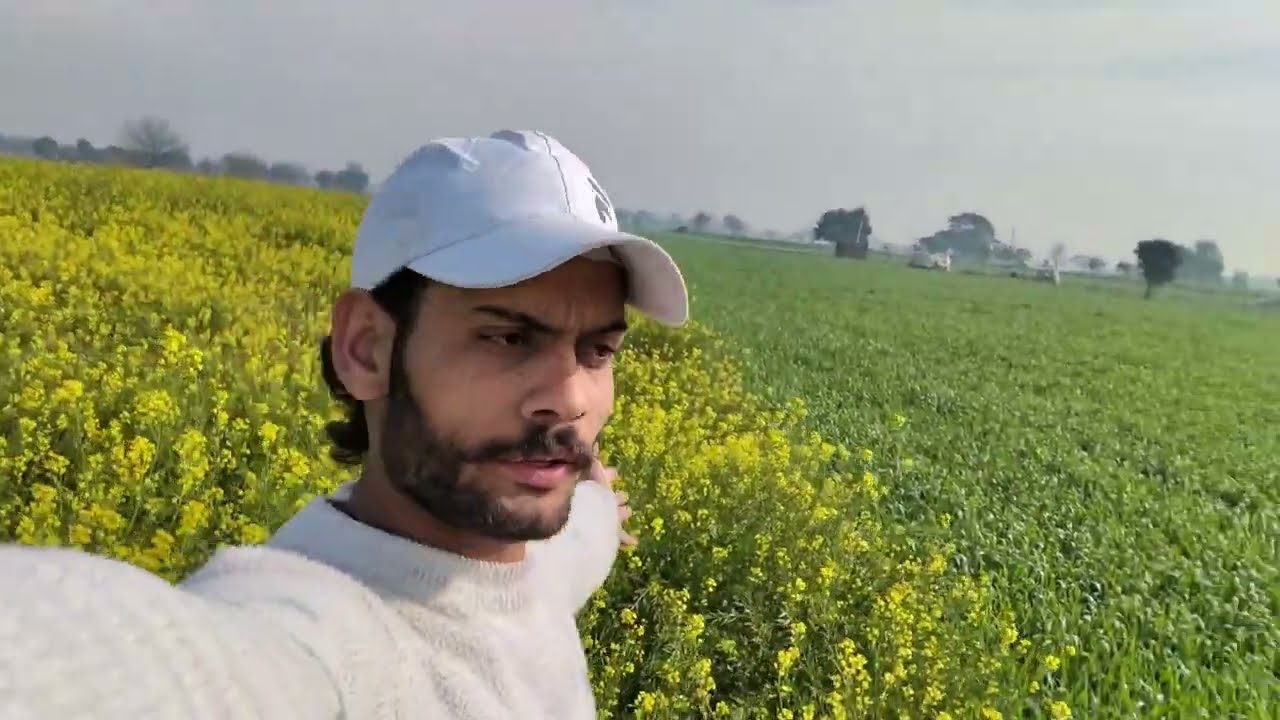 Asli Sukoon 💛 | Gaon Ki Hawa Aur Sarson Ke Khet 🌾