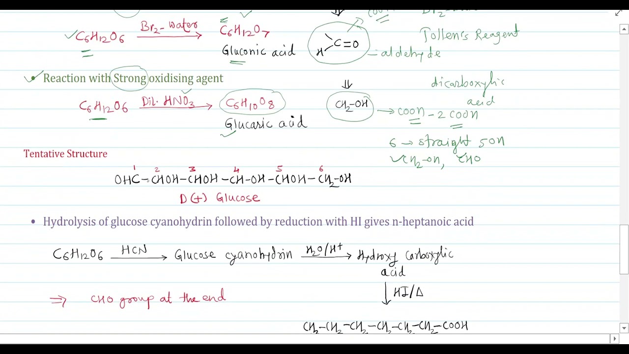 Open Chain Structure of Glucose and Fructose