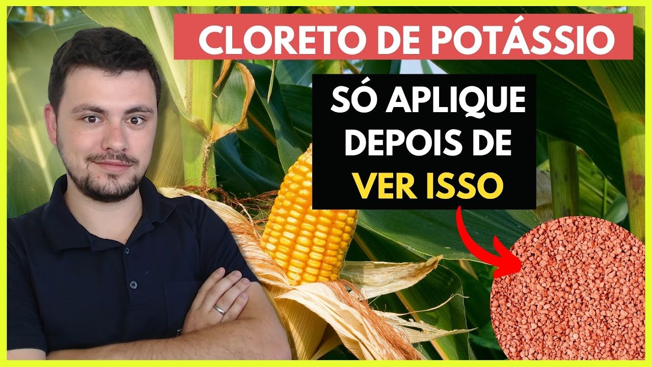 Só Aplique CLORETO DE POTÁSSIO se considerar isso