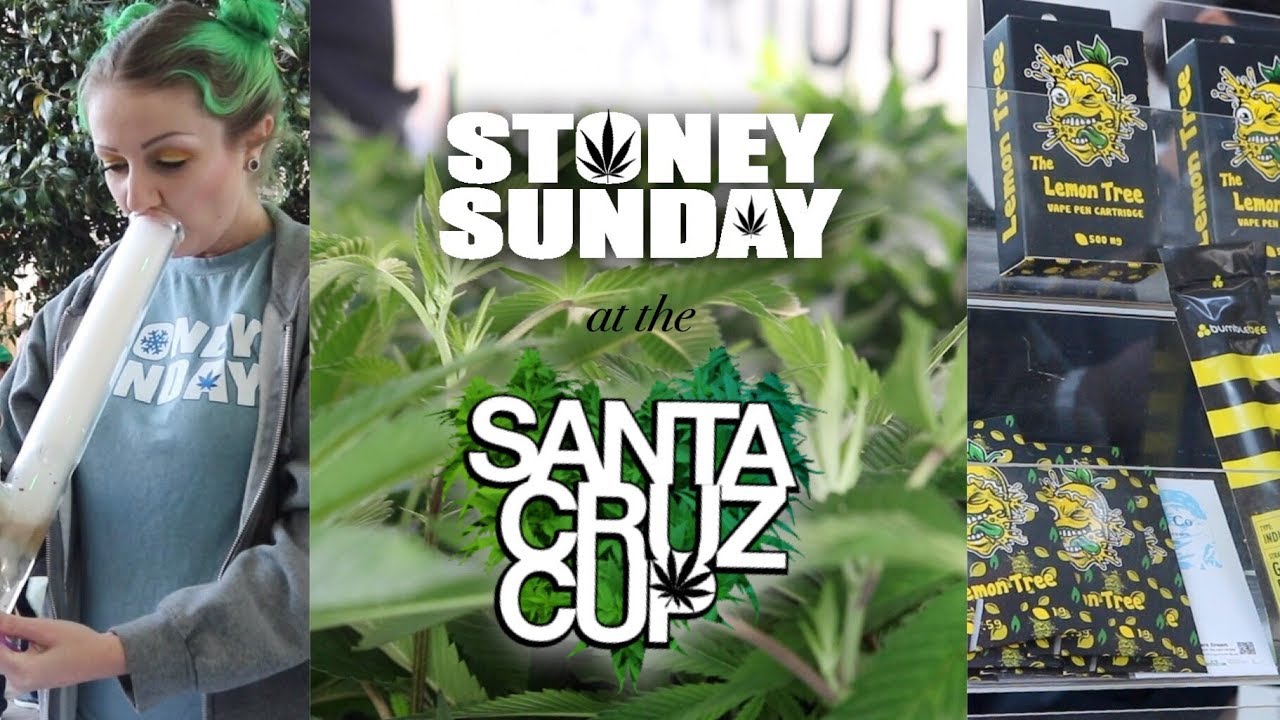 STONEY SUNDAY at the Santa Cruz Cup! BONUS: the Expendables acoustic Bowl For Two