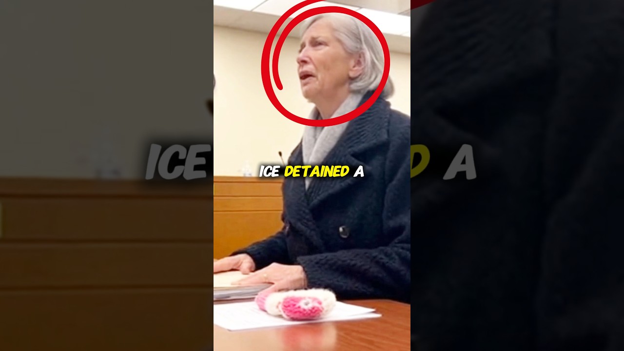 ICE Detained a Mother and Child The Judge Steps In