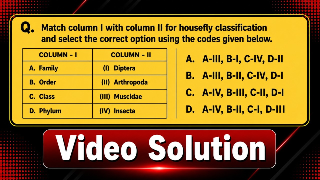 Match column I with column II for housefly classification and select the correct option us...