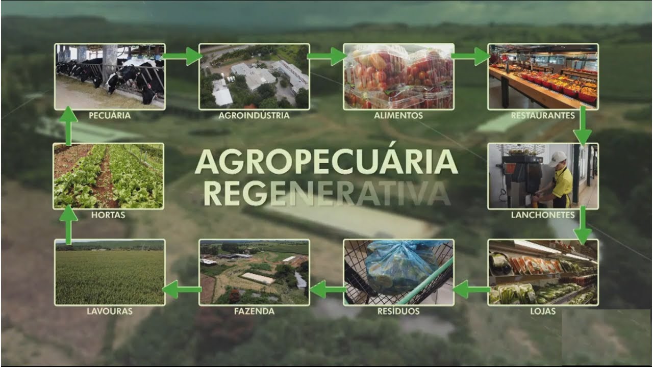 Como Preservar para Lucrar - Fazenda modelo passo a passo