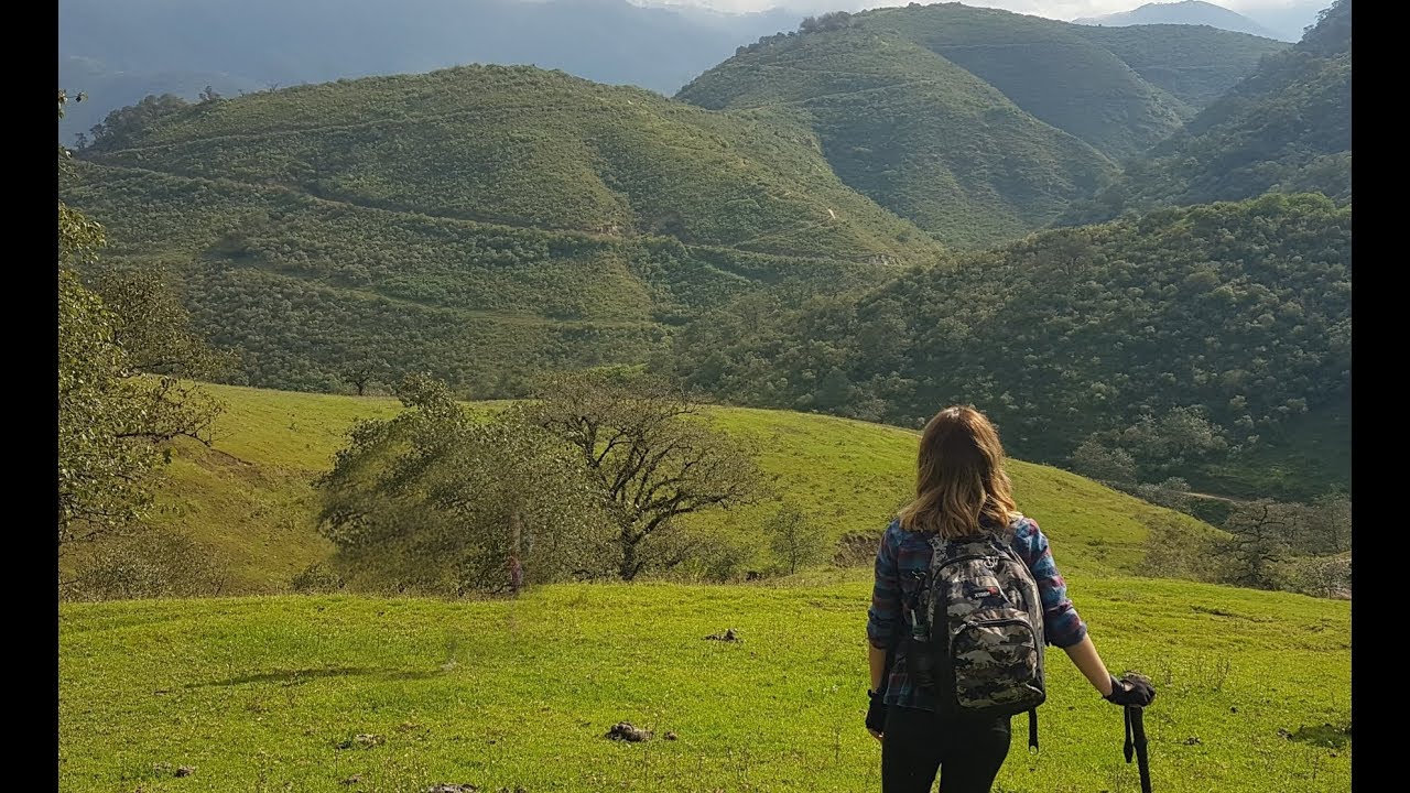 ANFAMA (Tucumán)