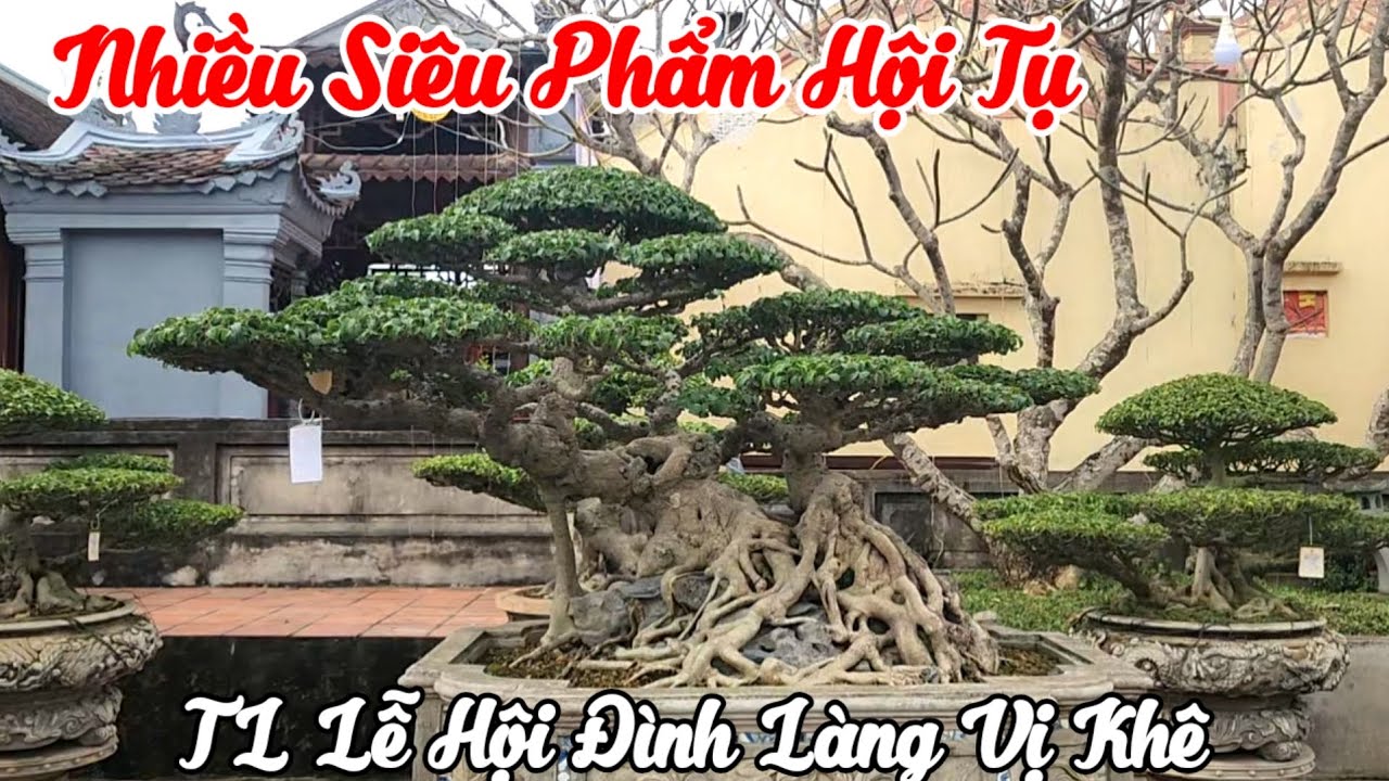 Năm nay hội tụ rất nhiều TP đẹp về tham dự TL lễ hội truyền thống đình Vị khê Nam Điền 
