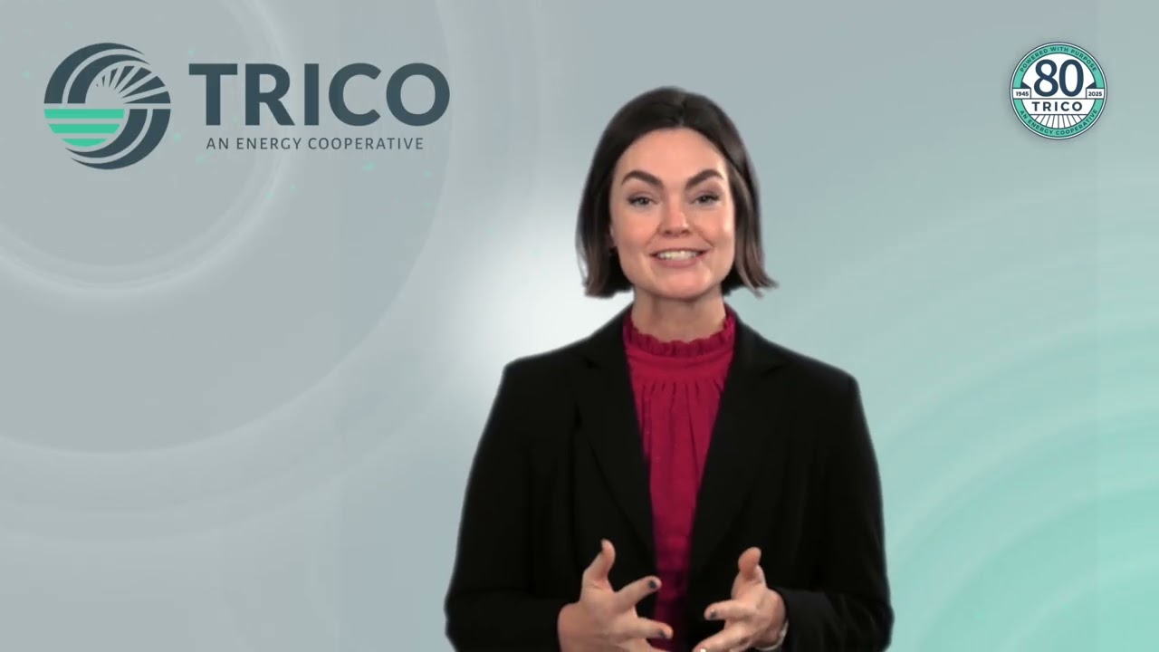 Trico Livewire December 2025