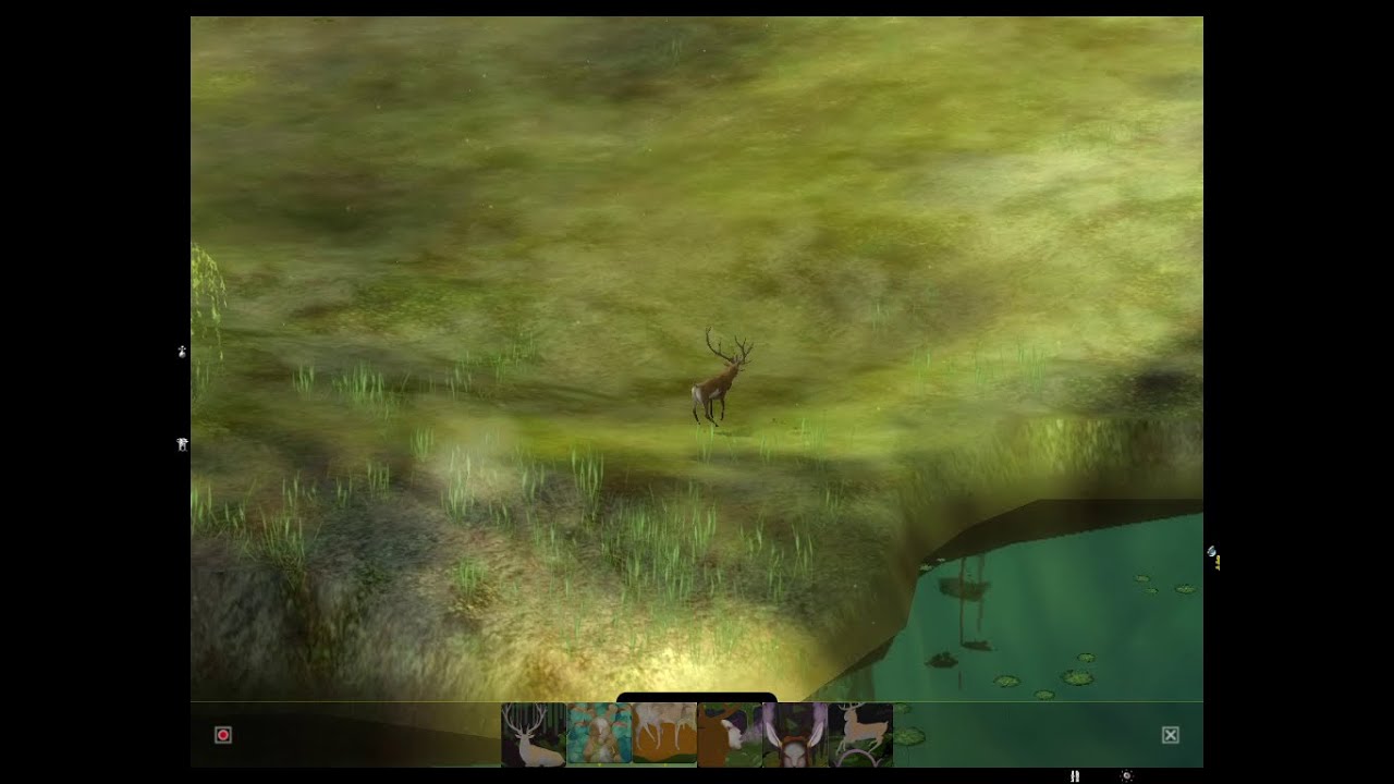 The Endless Forest