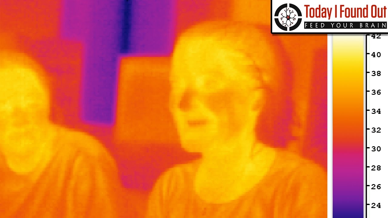 Why is Comfortable Air Temperature So Much Lower Than Body Temperature?