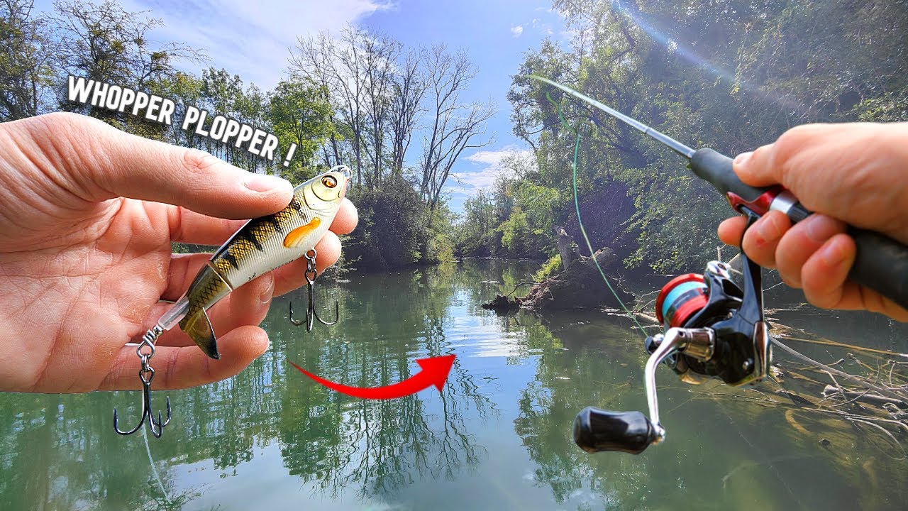 Pêche au WHOPPER PLOPPER pour déclencher les brochets en surface dans cette petite rivière sauvage !
