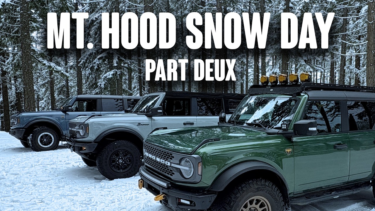 Snow Day Part Deux