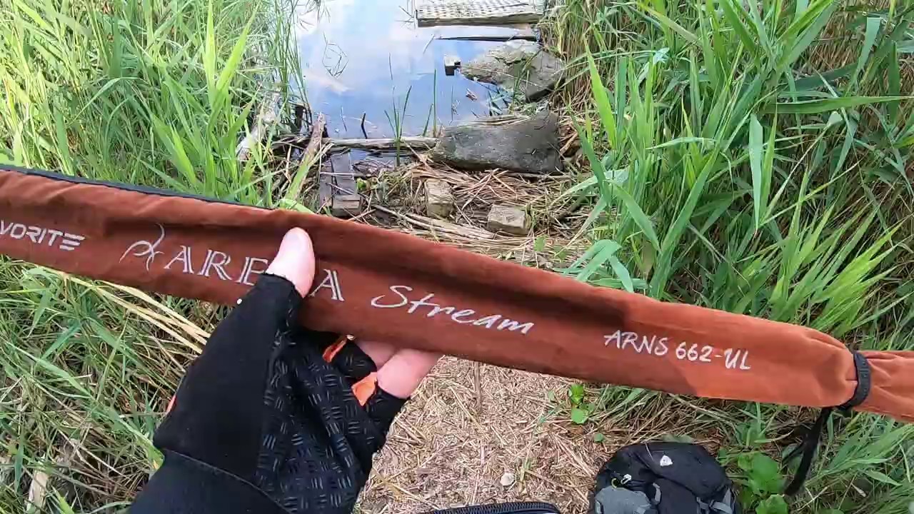 Favorite Arena Stream ARNS-662UL / не большой тест