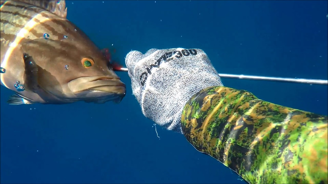 Spearfishing - Reflections of the bottom - Τσάβαλος Αριστοτέλης