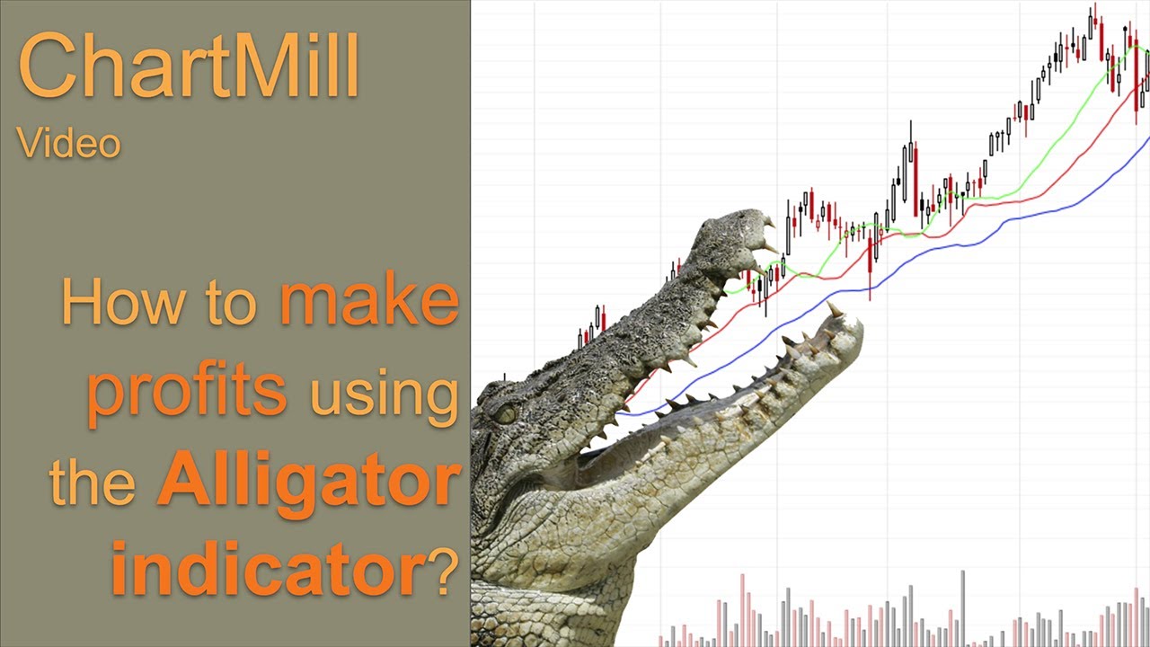 ALLIGATOR INDICATOR SWING TRADING STRATEGY | How to avoid false signals and get a higher profit%?