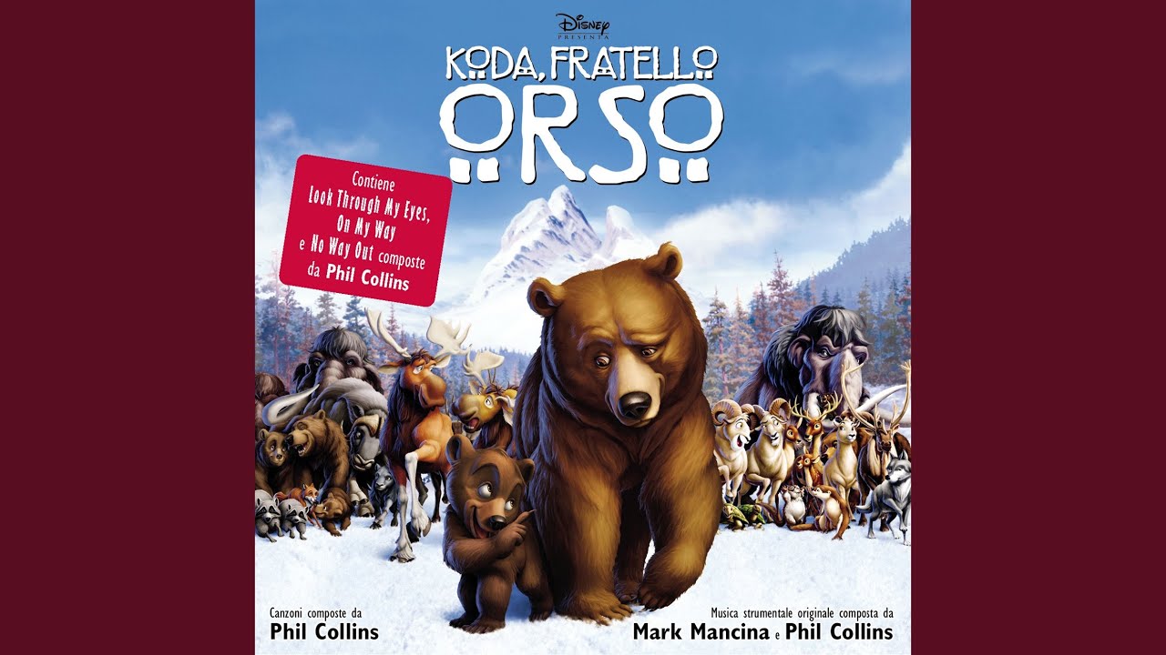 Il mio cammino