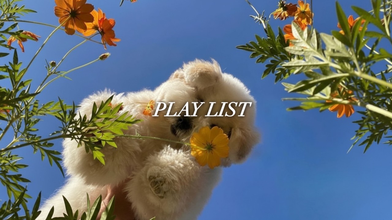 𝐏𝐥𝐚𝐲𝐥𝐢𝐬𝐭ㅣ성수동 카페에서 일하는 기분 🎧 감각적인 그루브 카페 노동요 | 일할 때 듣기 좋은 플레이리스트✨