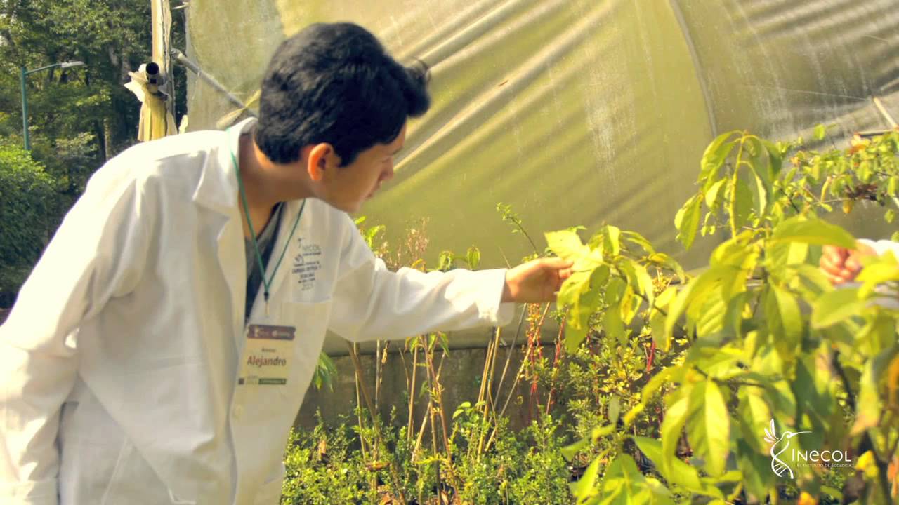 Ciencia para niños y jóvenes INECOL 2015