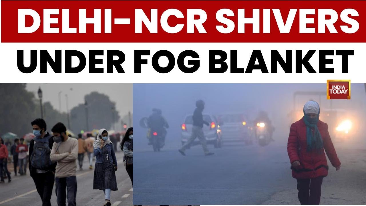 Delhi Weather Update: IMD Issues Yellow Alert For Fog; Air Quality Deteriorates To GRAP 3 Levels