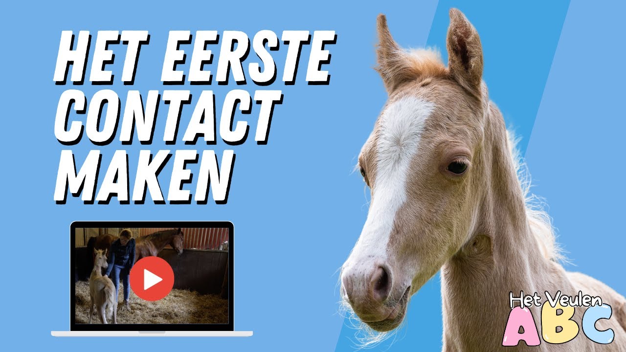 Bewust omgaan met je veulen 🐴