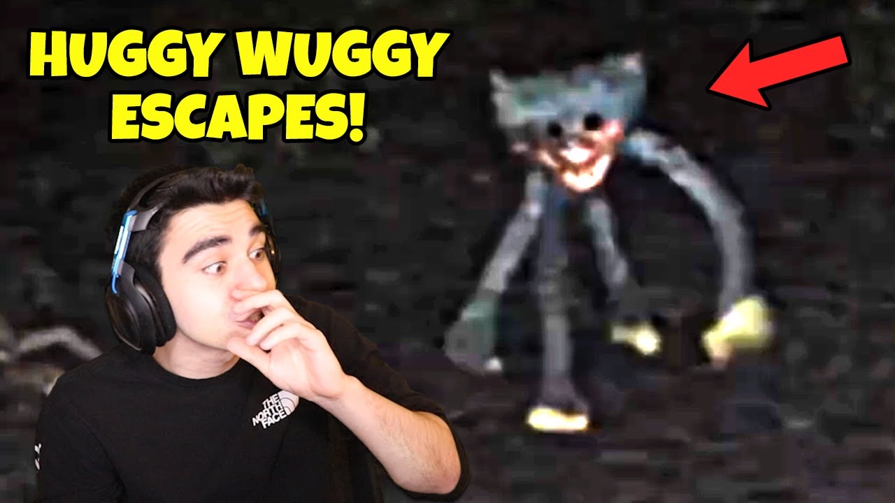 Omar Reacts: NEW Poppy Playtime VHS Tape (RESTRICTED_disappearance_06-18-1992.mp4)