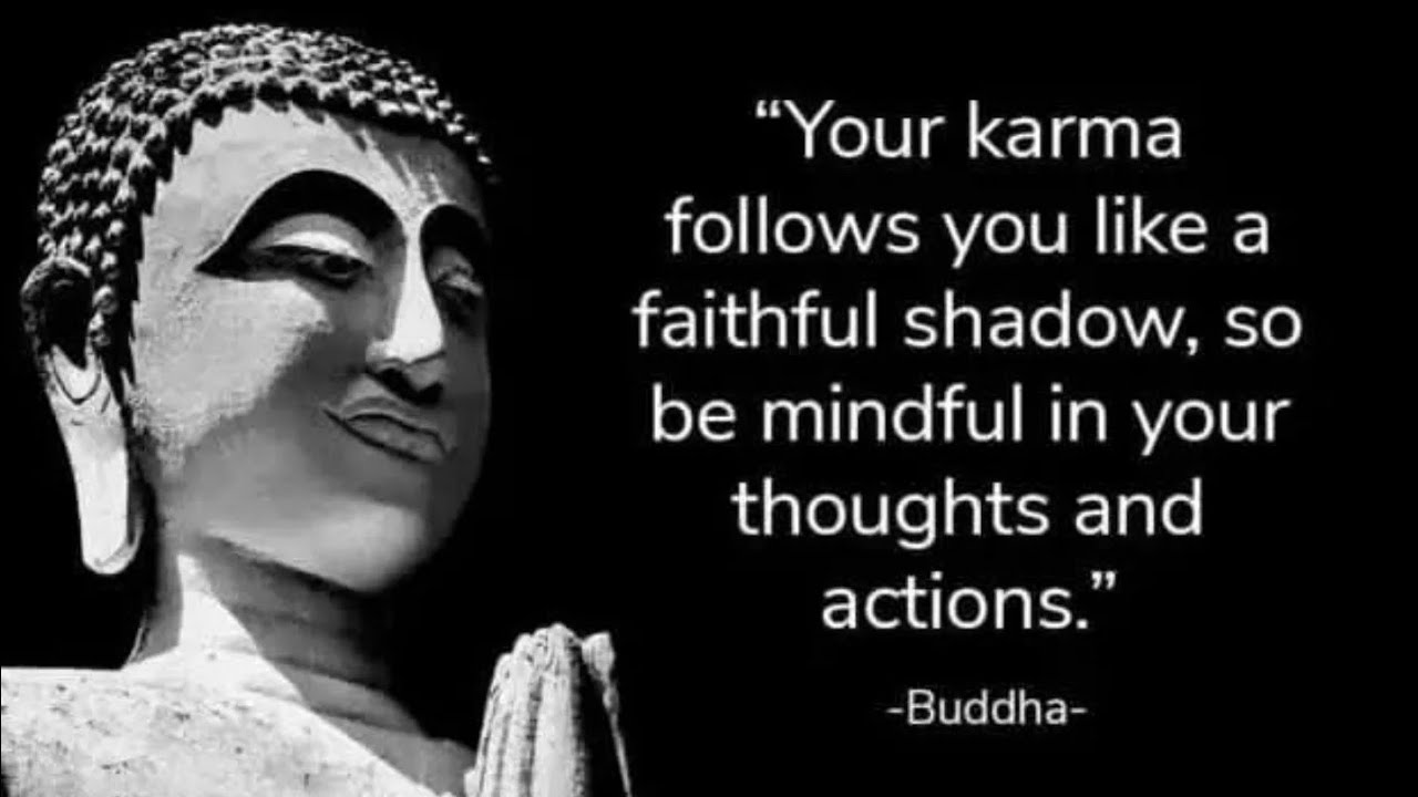 Buddha Quotes That Will Change Your Life Forever || Buddha's Daily Wisdom 