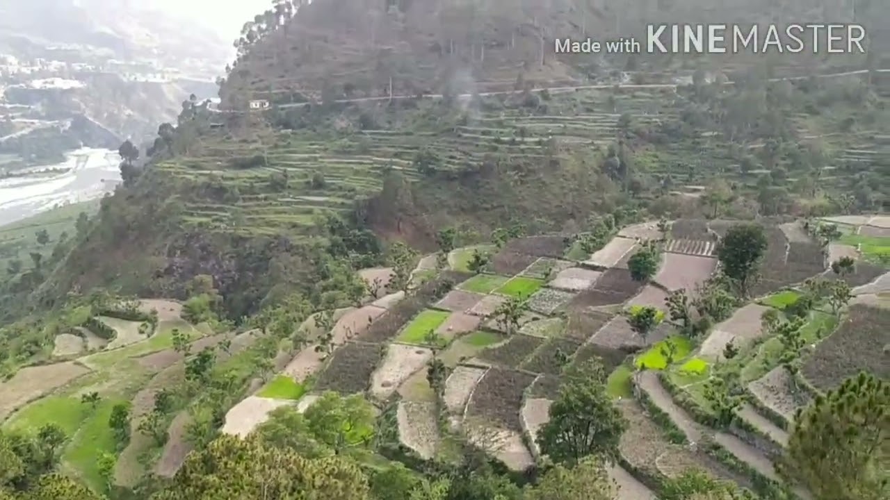 ❤️अपना गाँव पलेठा❤️