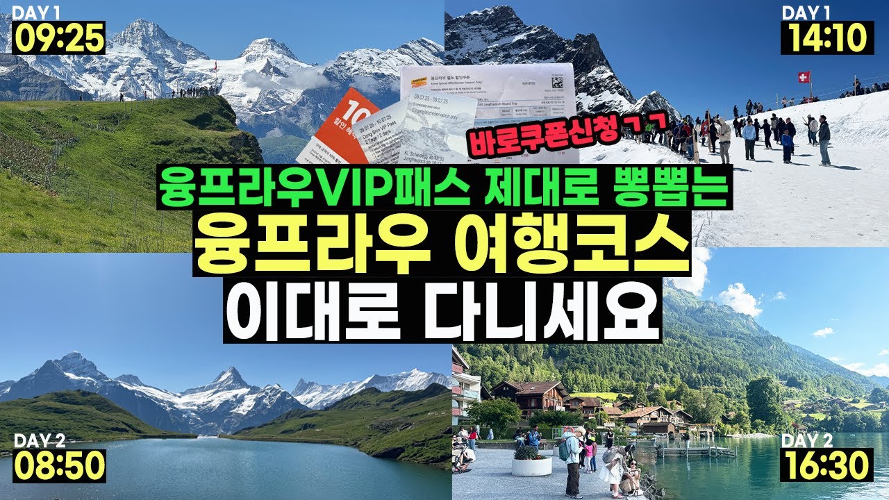 스위스 융프라우 여행 이 영상 하나로 종결 🔥🔥 융프라우VIP패스 뽕뽑는 여행코스!