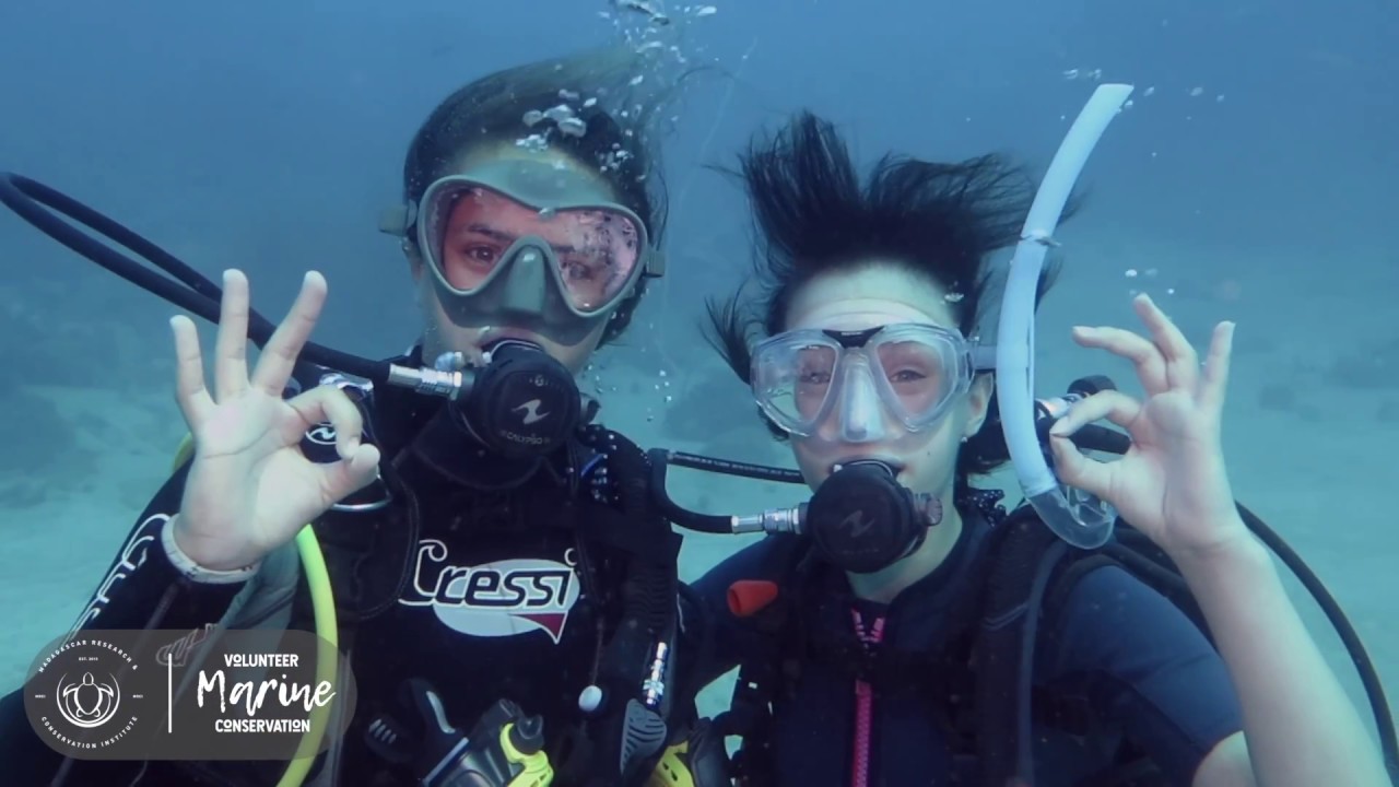 MRCI Volunteer Marine Conservation Program