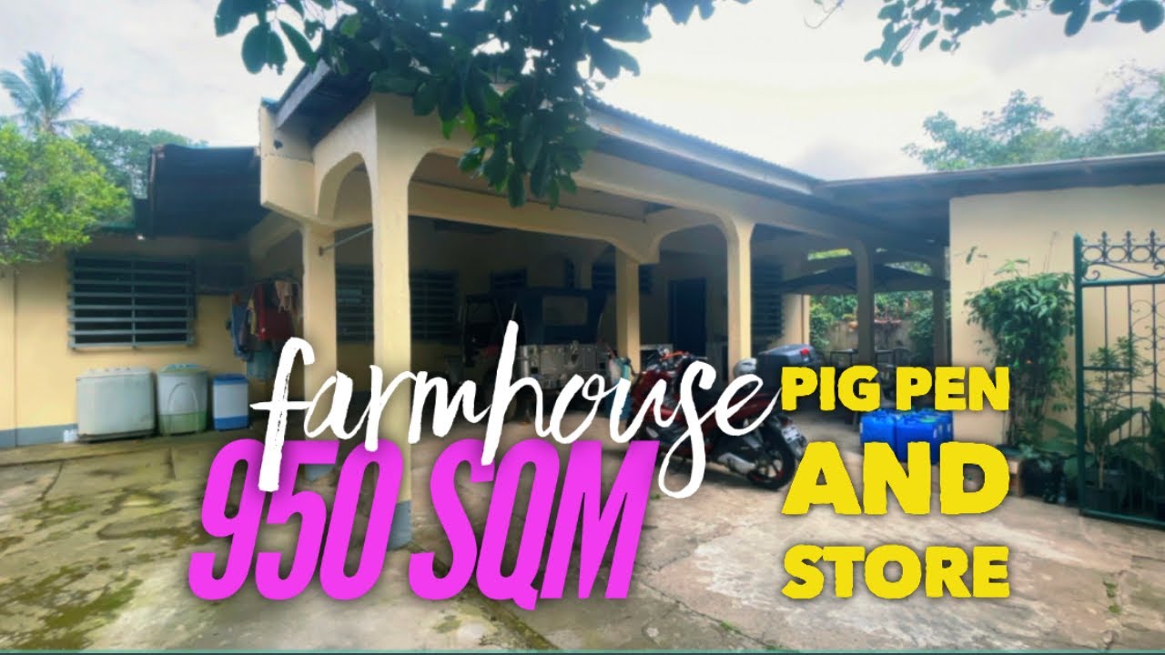FOR SALE • Alfonso Farm 950 SQM Retirement House • Store • Pigpen | #buhayprobinsya  @nov9tv