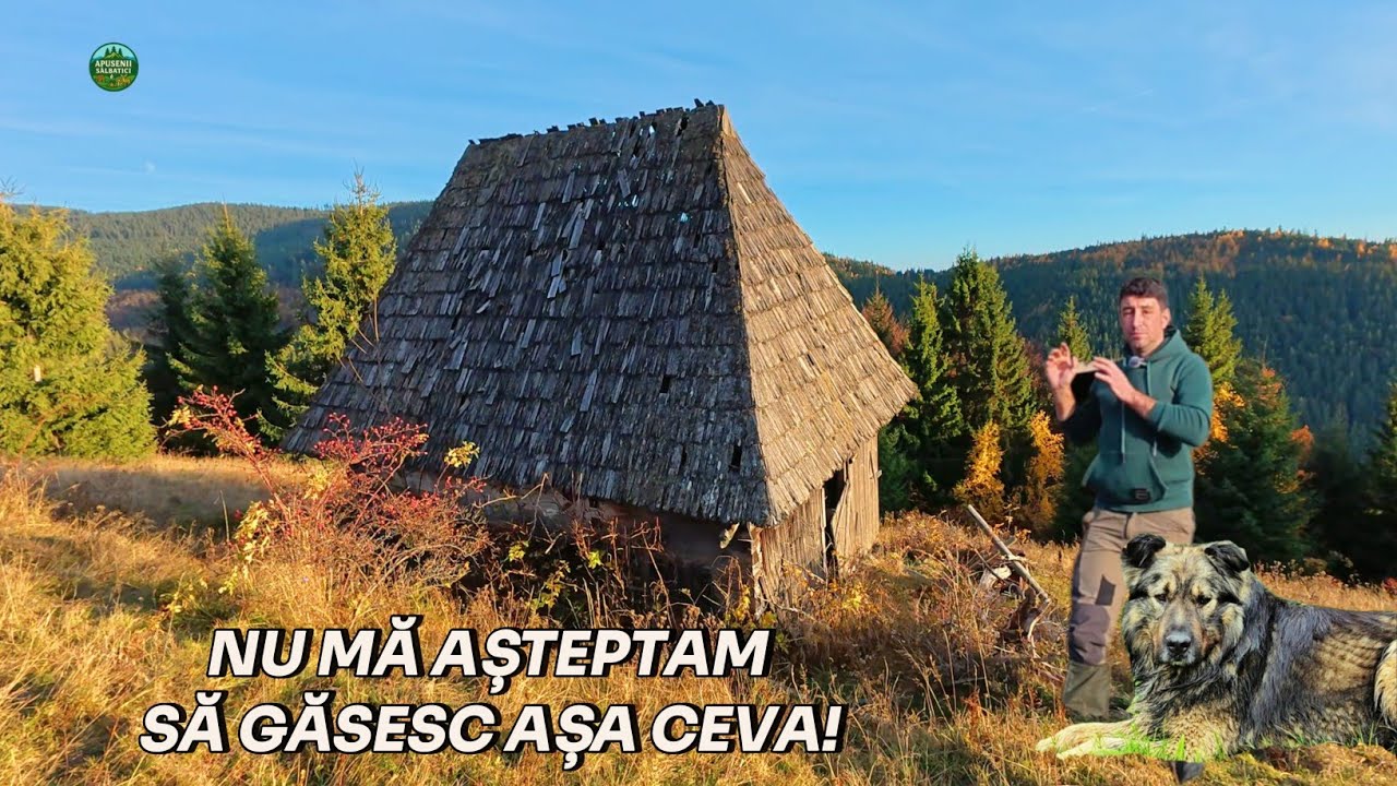 CE AM GĂSIT ÎNTR-O CĂSUȚĂ PĂRĂSITĂ DIN MUNȚII APUSENI TE VA ȘOCA! | EP. 69