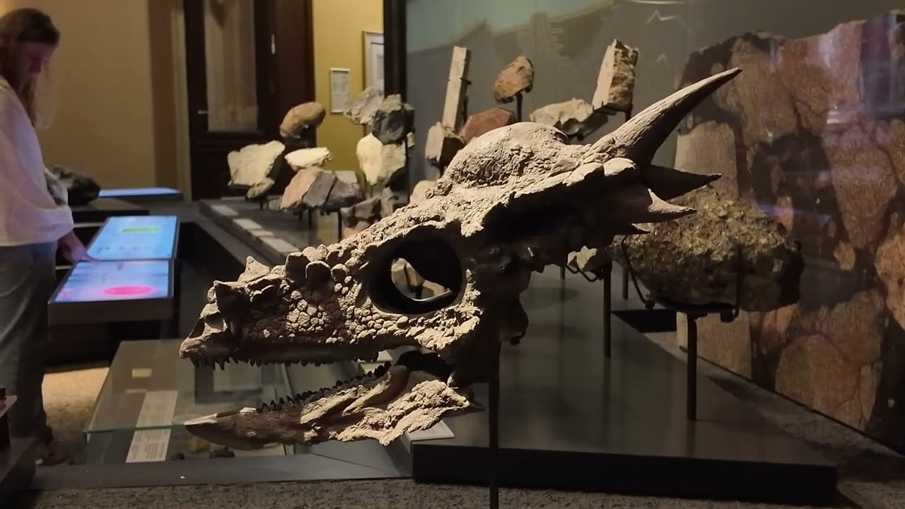 Museum für Naturkunde Berlin 2025