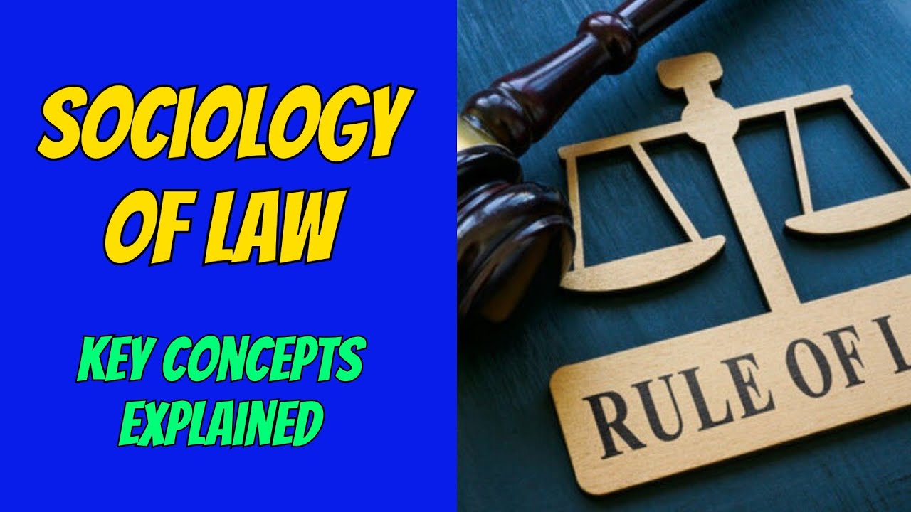 Sociology of Law: Key Concepts Explained