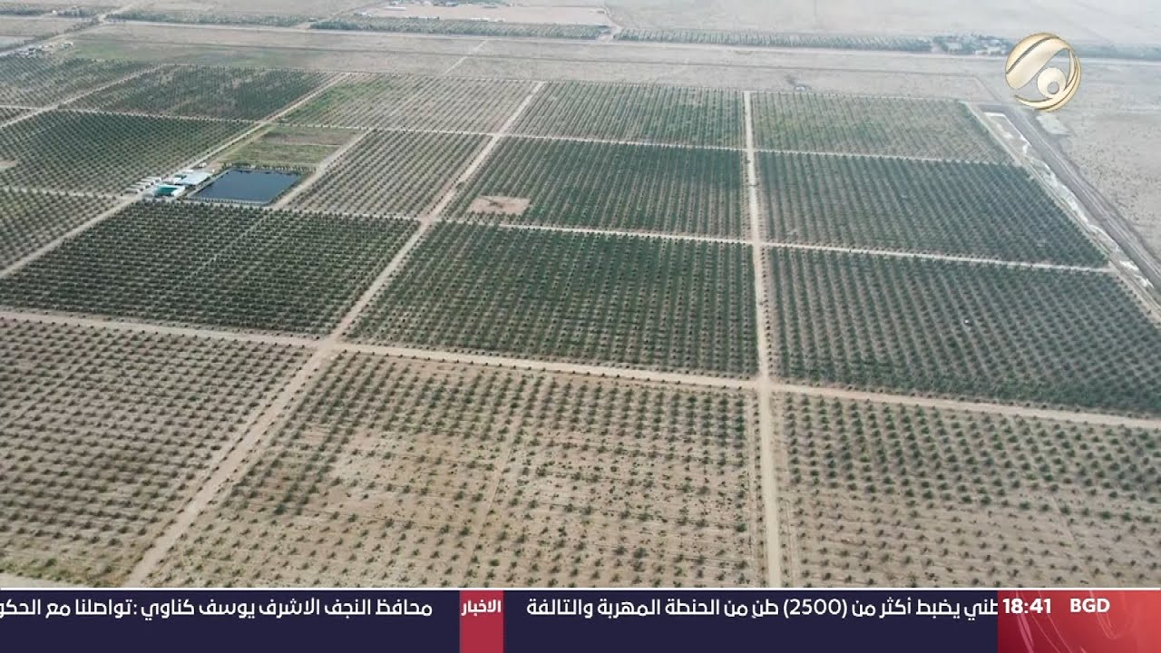 المستكشف مع احمد المطيري - مزرعة فدك للنخيل التابعة للعتبة الحسينية من اكبر المزارع | 2024/5/6