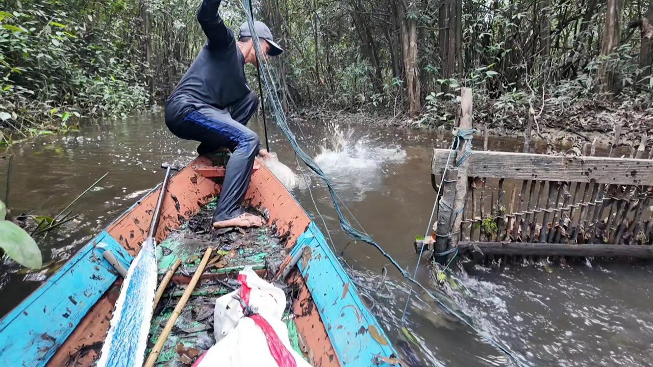 MENJALA TEPAT DI TENGAH KAWANAN IKAN KERANDANG