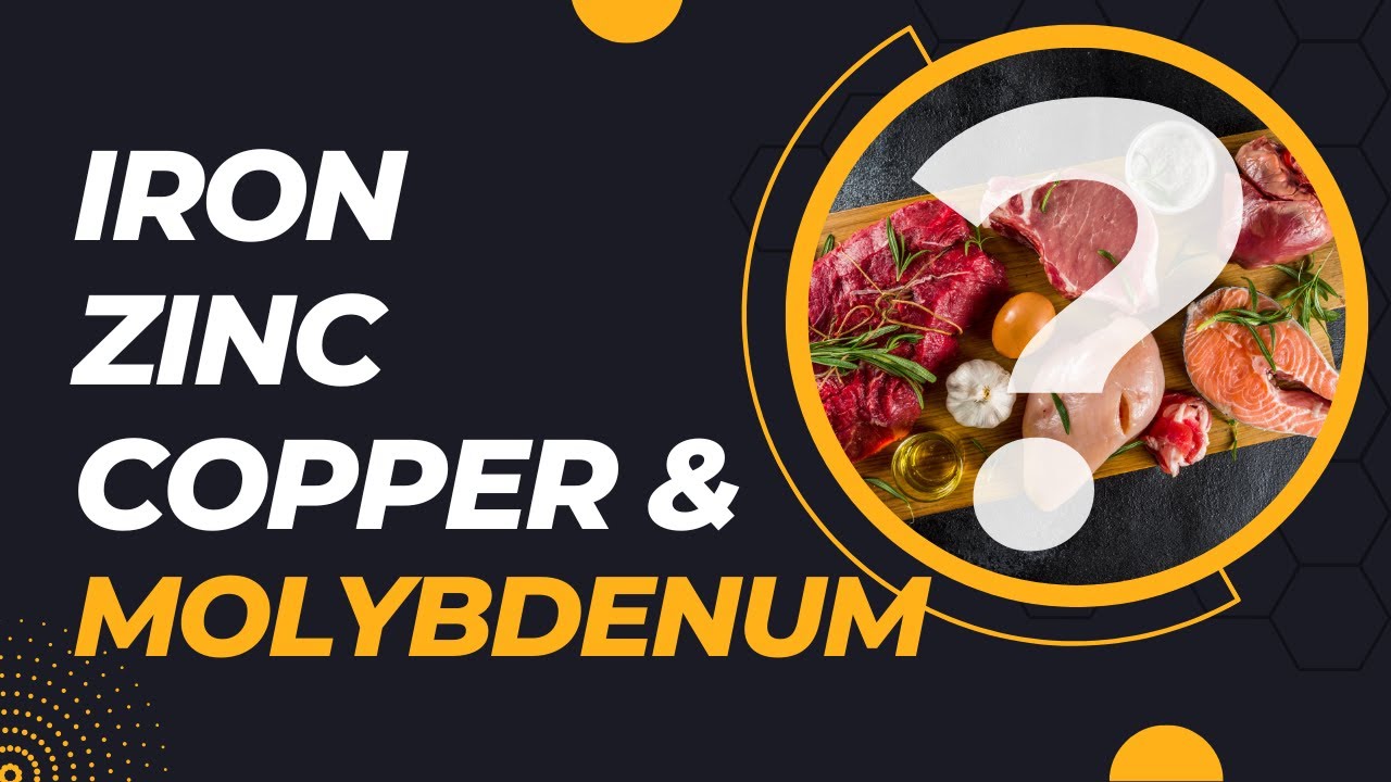 Balancing Zinc, Copper, Iron and Molybdenum to avoid Excess or Deficiency