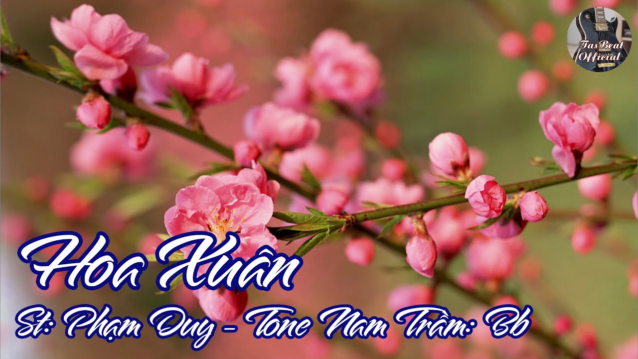 Karaoke Hoa Xuân Tone Nam Trầm | TAS BEAT