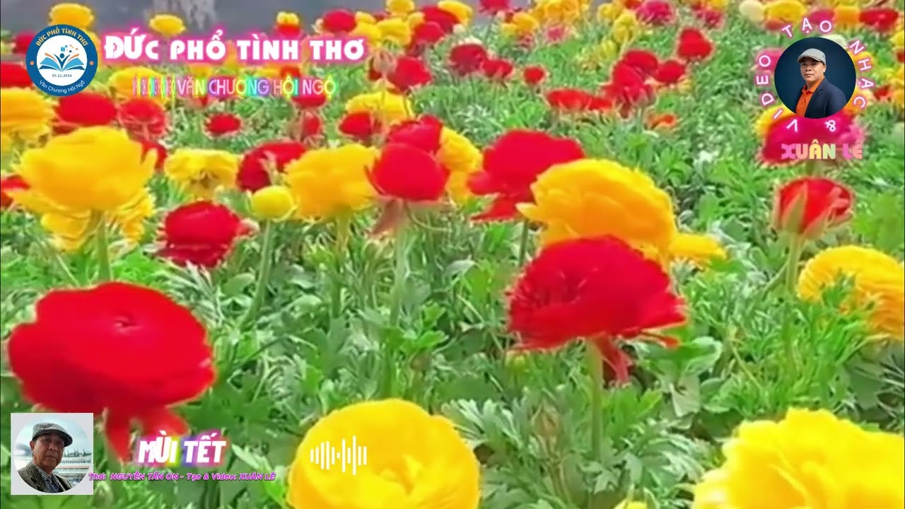 MÙI TẾT -  Thơ: NGUYỄN TẤN ON - Tạo nhạc & Video: Xuân Lê