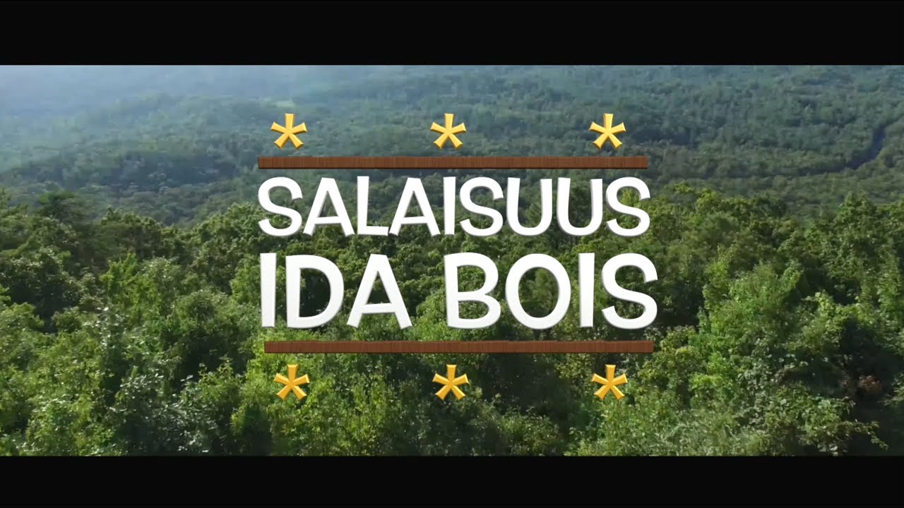 Ida Bois - Salaisuus (lyriikkavideo)