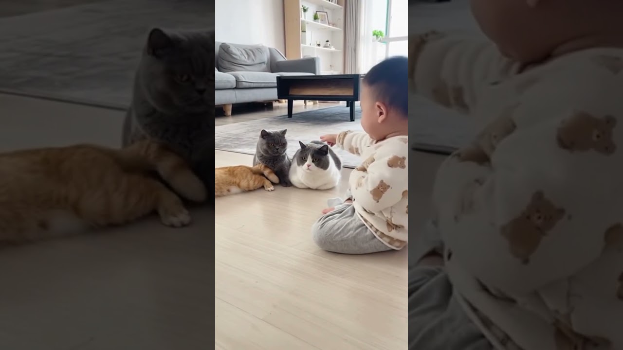 😂 Baby Discovers His Magic Finger! Makes His Cats Play Dead! ✨ #funnycats #cutebaby