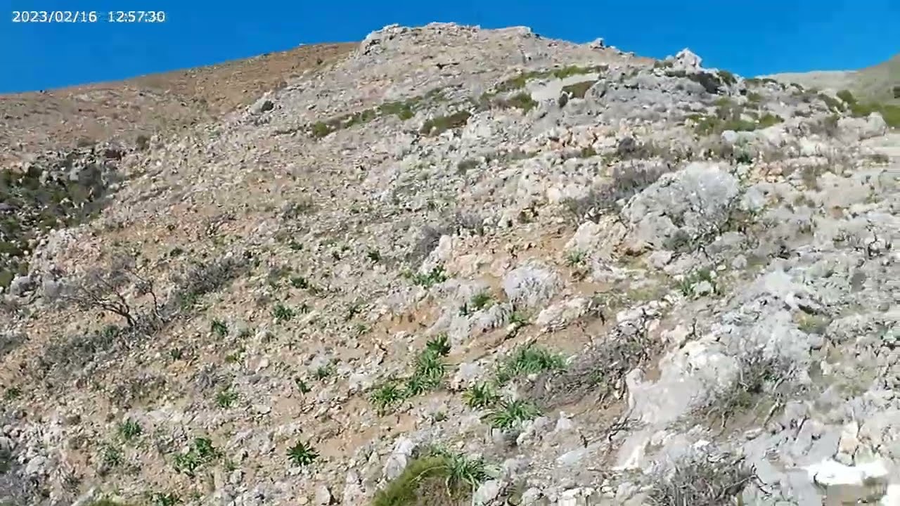 ΚΡΗΤΙΚΟΣ ΛΑΓΩΝΙΚΟΣ - ΞΕΦΩΛΙΑΣΜΑ  2 (ΔΟΚΙΜΗ ΚΑΜΕΡΑΣ)