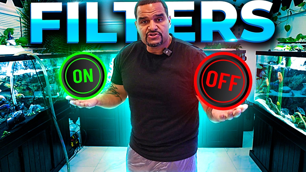 Don't Make These Water Change Mistakes with your Filter