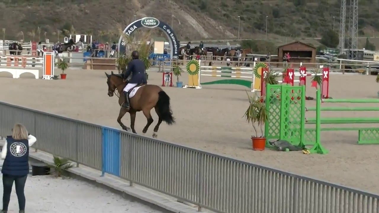 Long Lankin Luis Astolfi 2016
