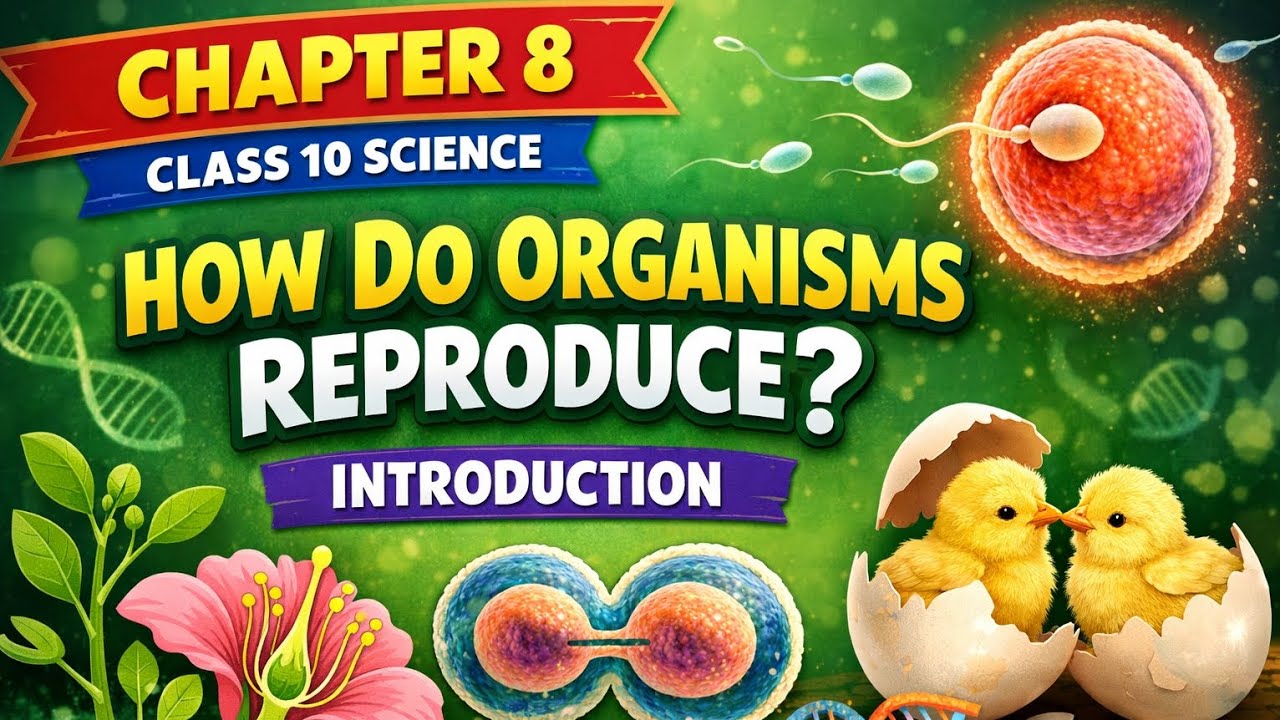 How Do Organisms Reproduce? | Introduction | Class 10 Science Chapter 8