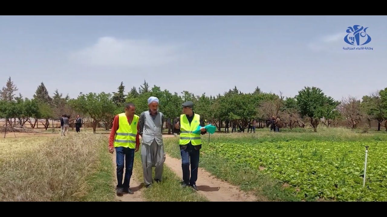 الإحصاء الفلاحي .. من أجل تنمية مستدامة