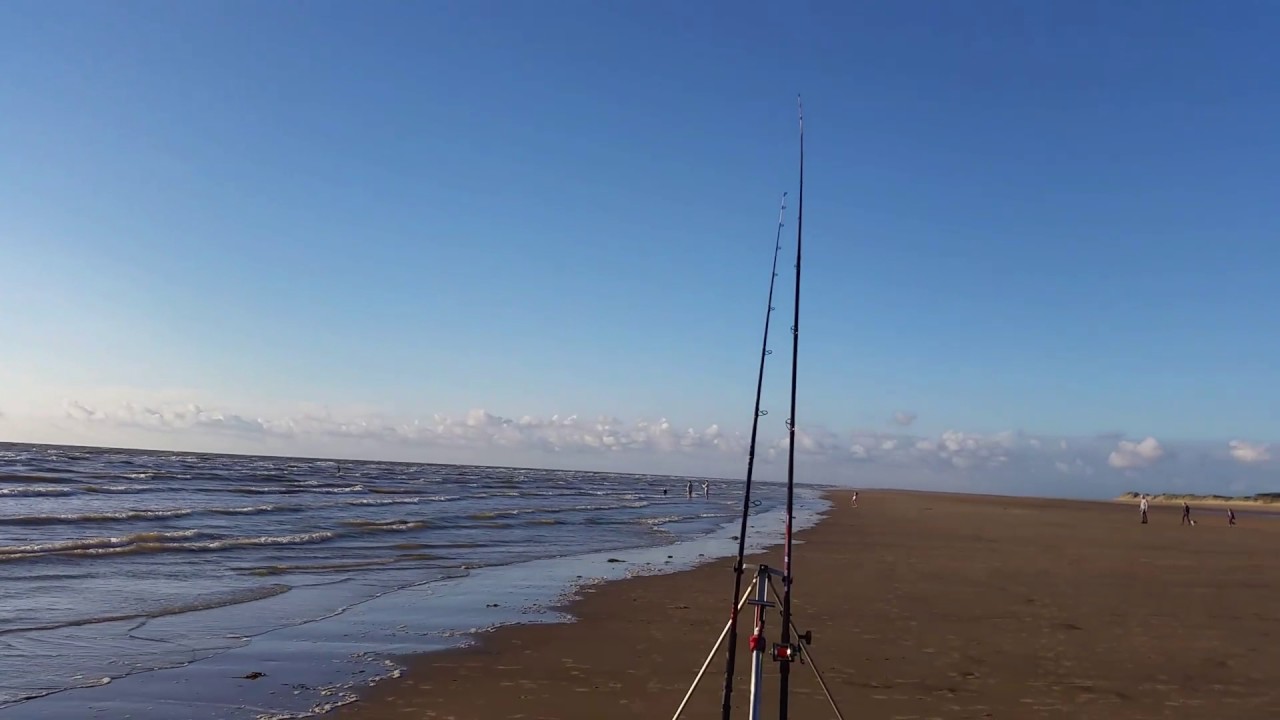 Formby bass hunt
