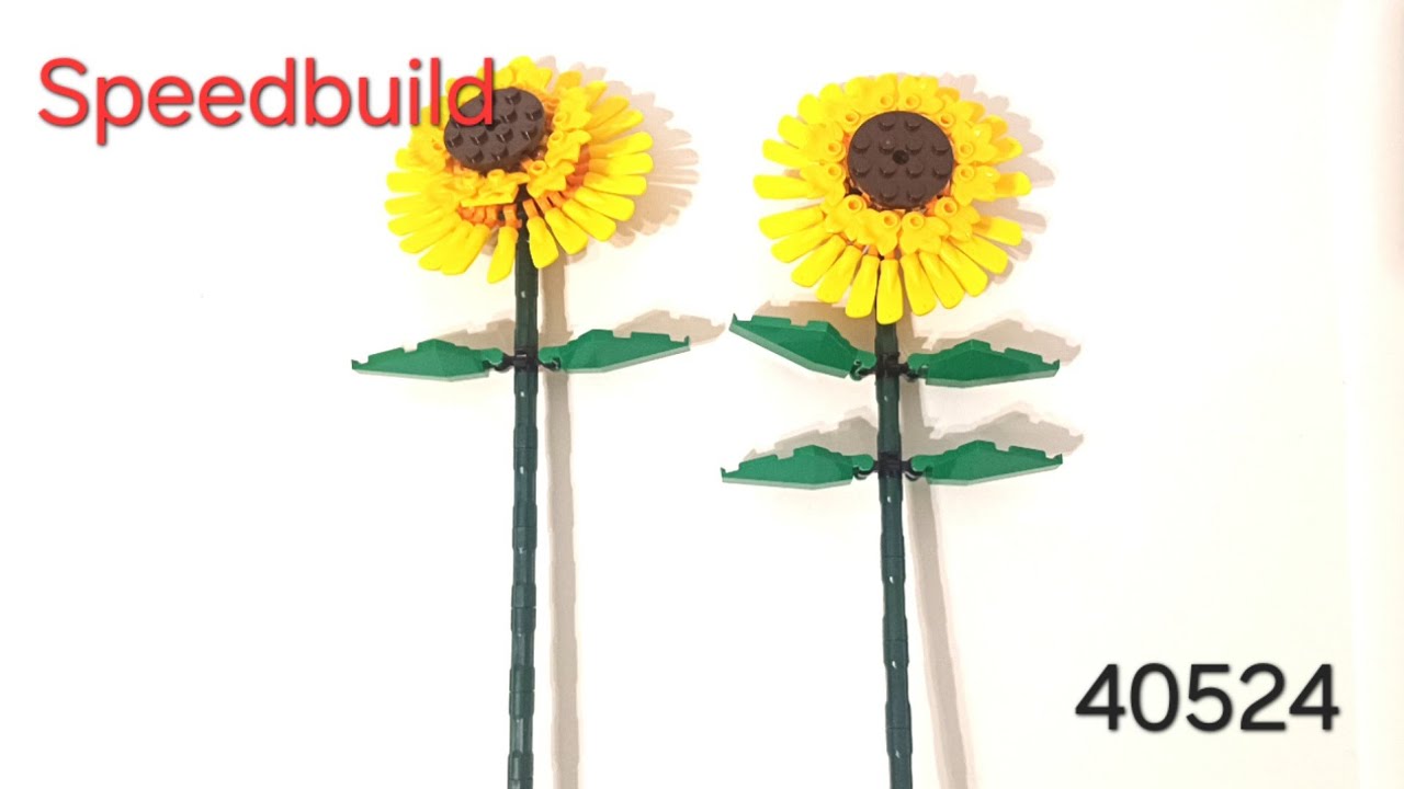 Lego Botanicle collection 40524 Sonnenblumen (speedbuild)