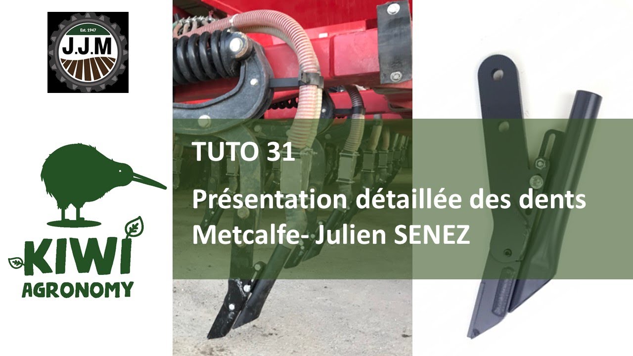Julien SENEZ : Les dents Metcalfe, explications détaillées